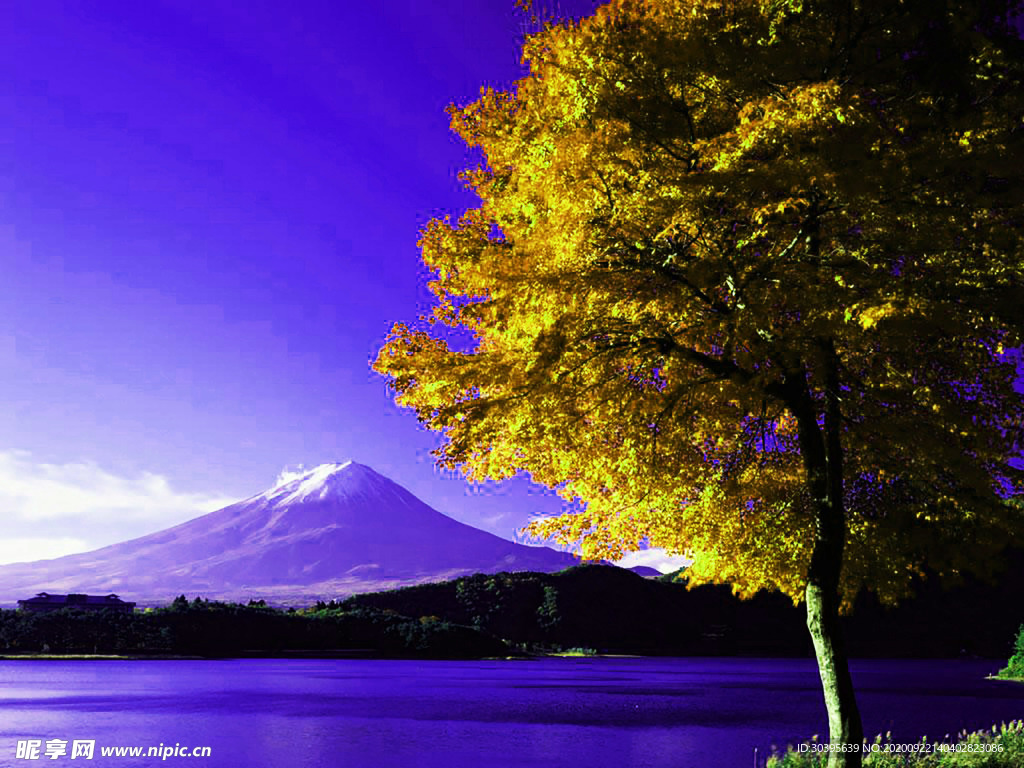 风景