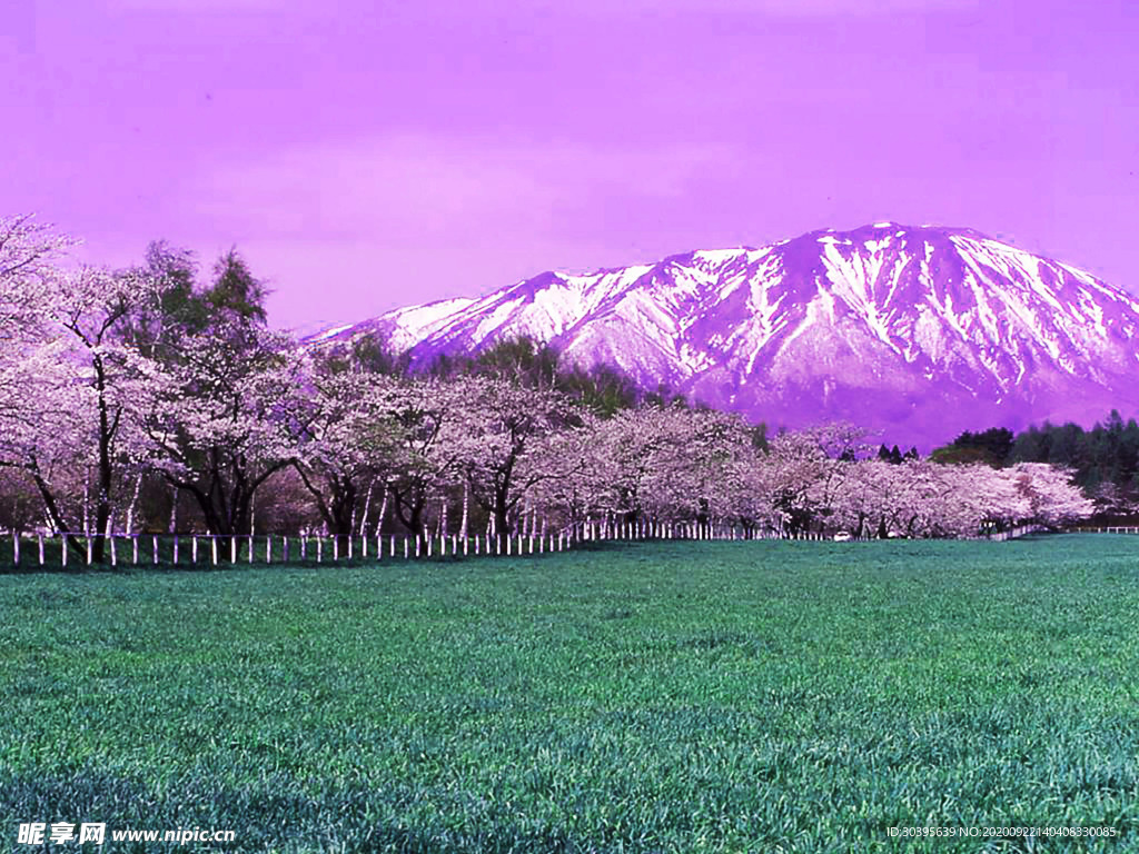 风景