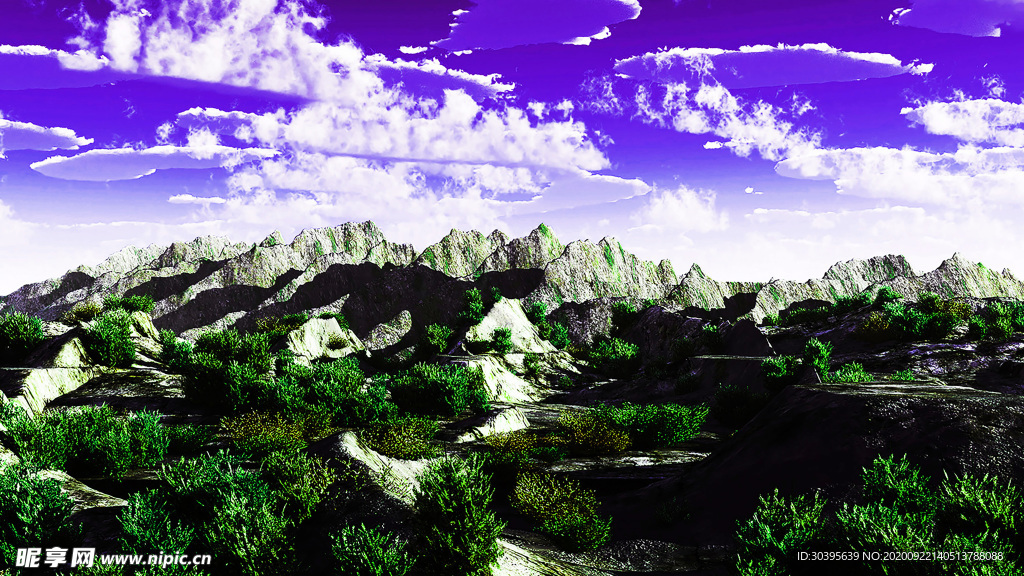风景