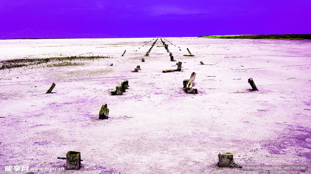 风景