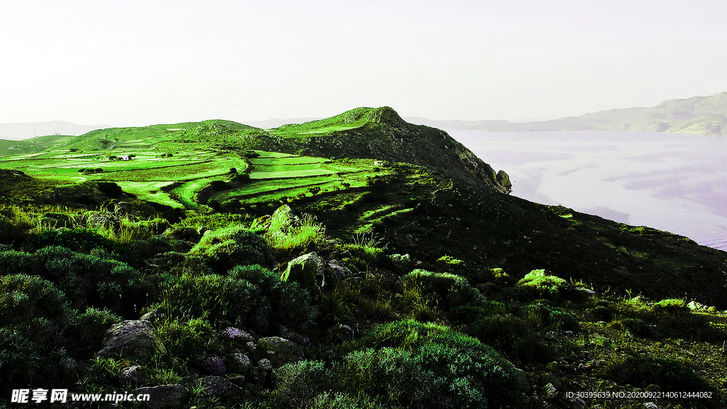 风景