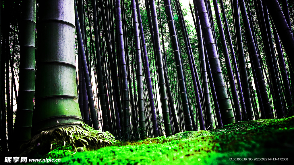 风景