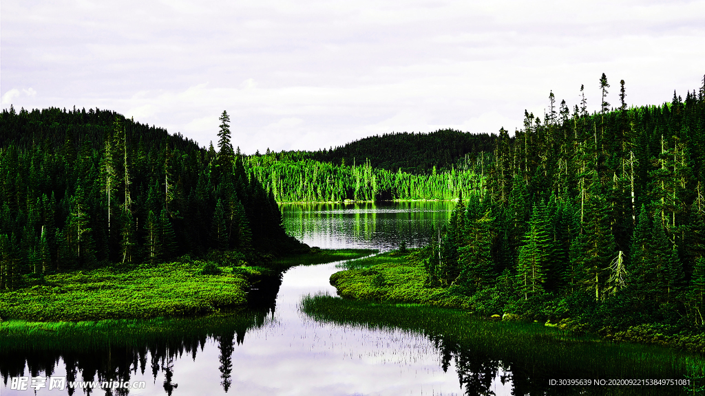 风景