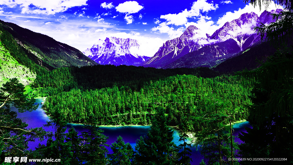 风景