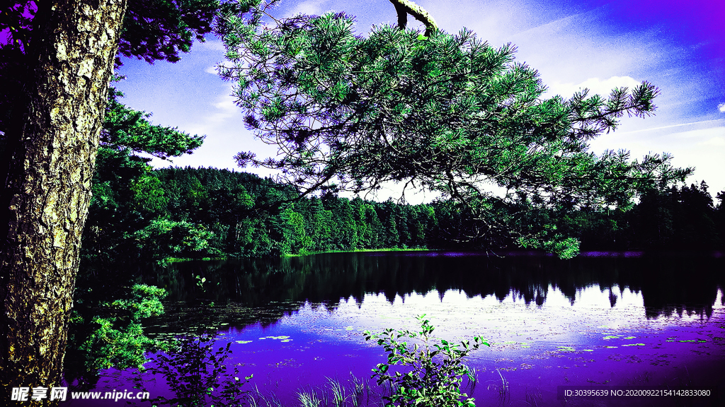 风景