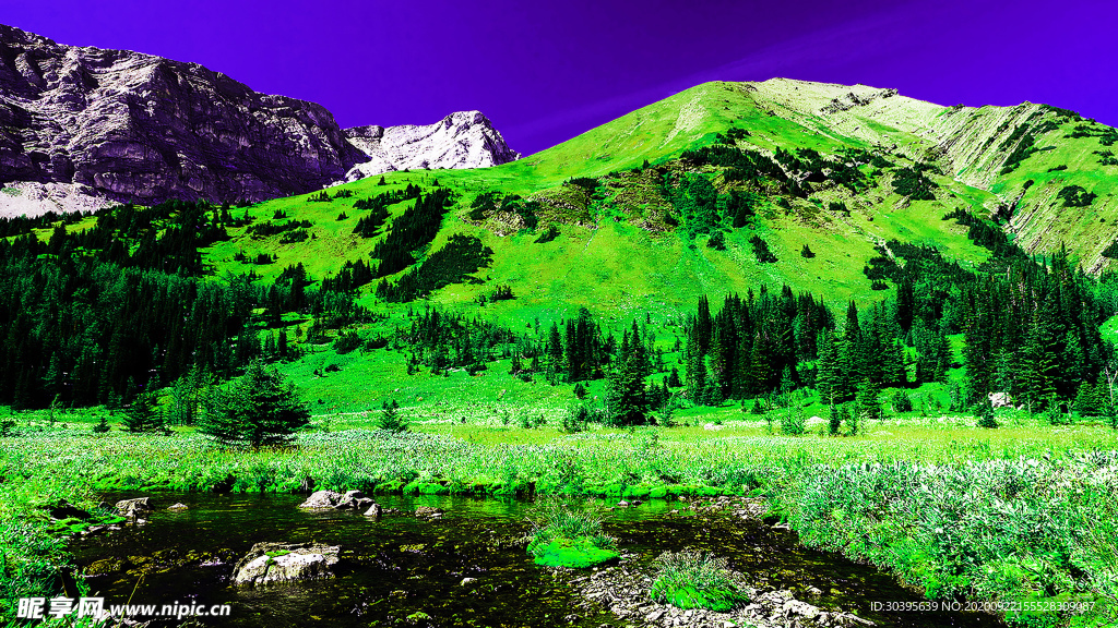 风景