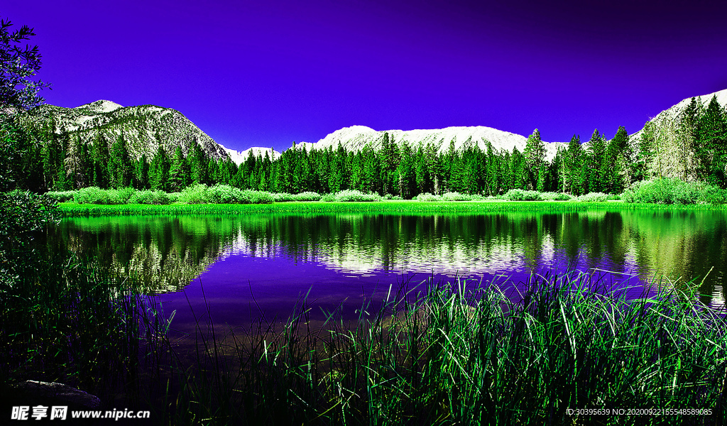 风景