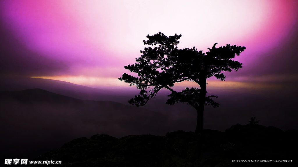 风景