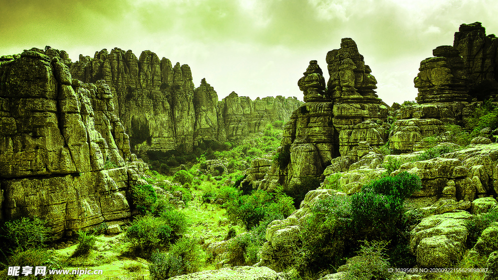 风景