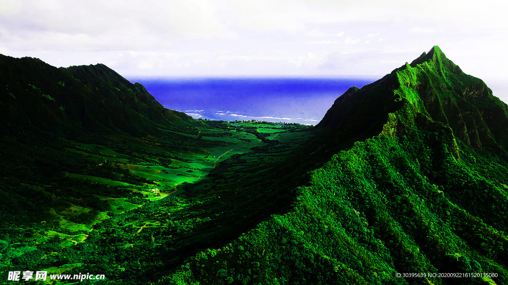 风景