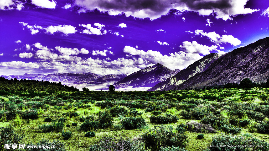 风景