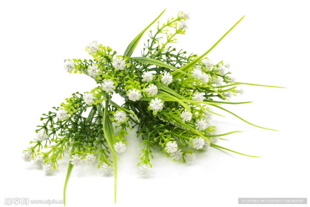 清新绿色植物花束