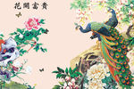 花鸟画 孔雀 牡丹 背景墙