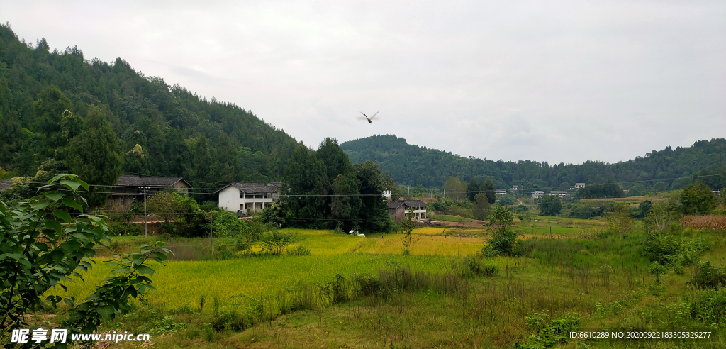 田园风光