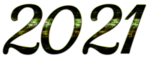2021年