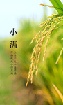 小满海报