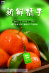橘子
