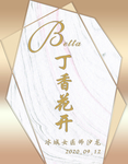 迎宾牌