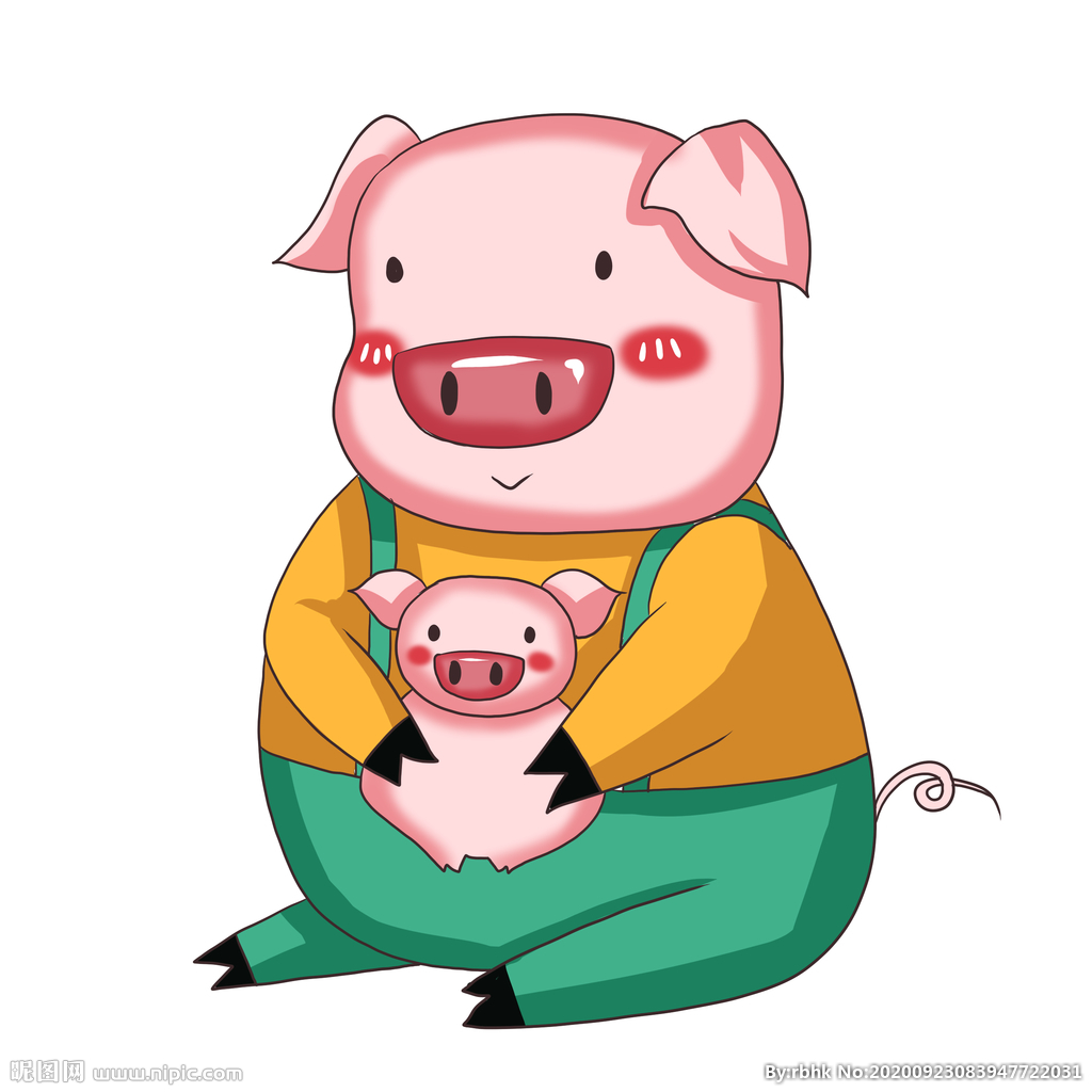 手绘猪 插画猪