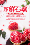 石榴 新鲜石榴