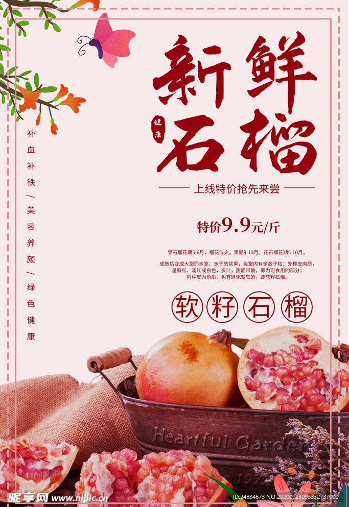 石榴海报