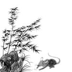 欧式花纹 花边 数码印花 面料