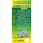 绿壳鸡蛋