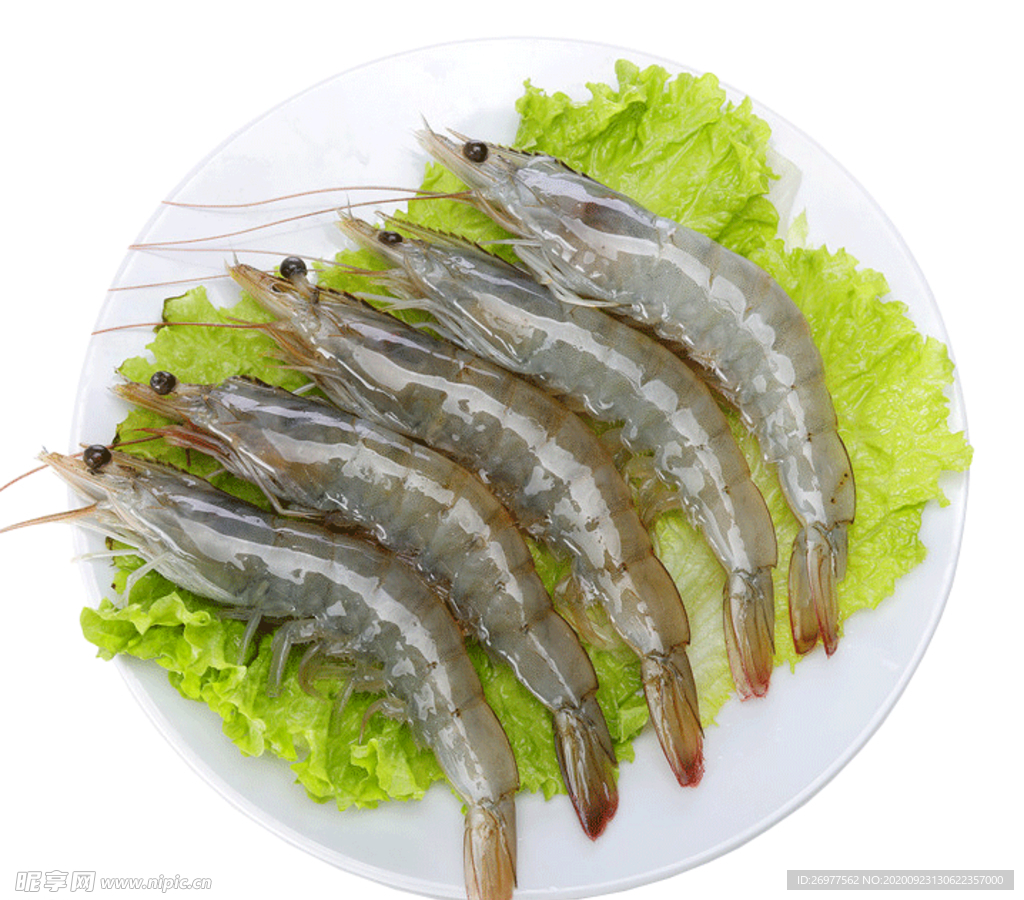 虾