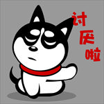 动物插画 哈士奇 狗 牛仔 A