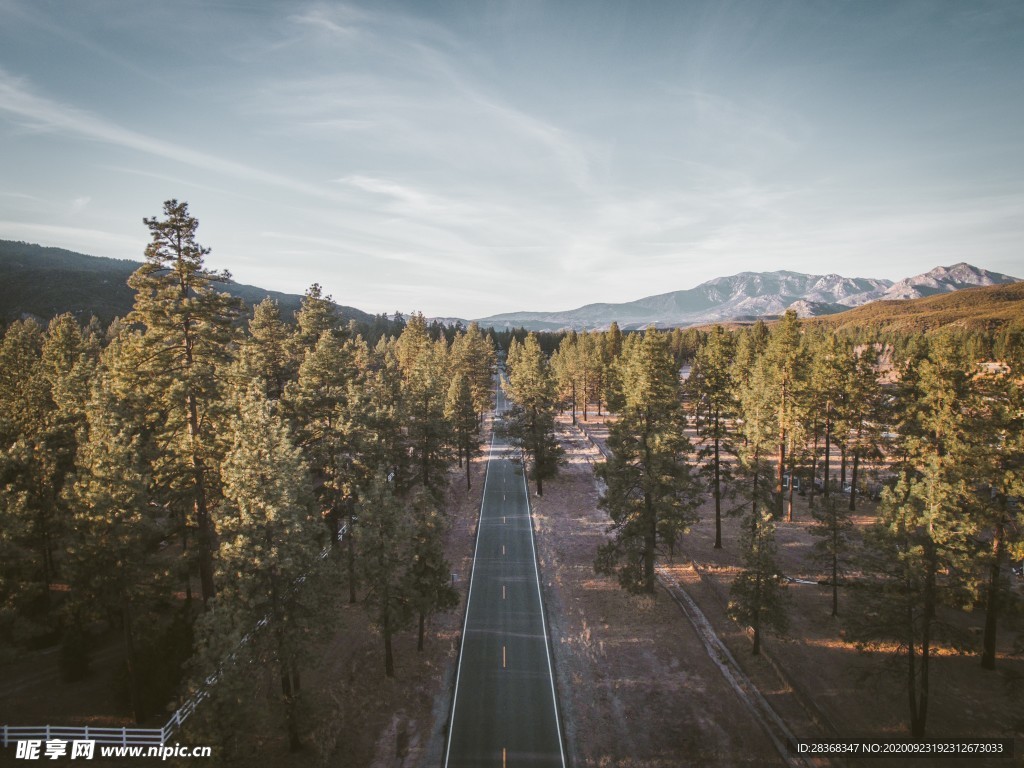 道路风景