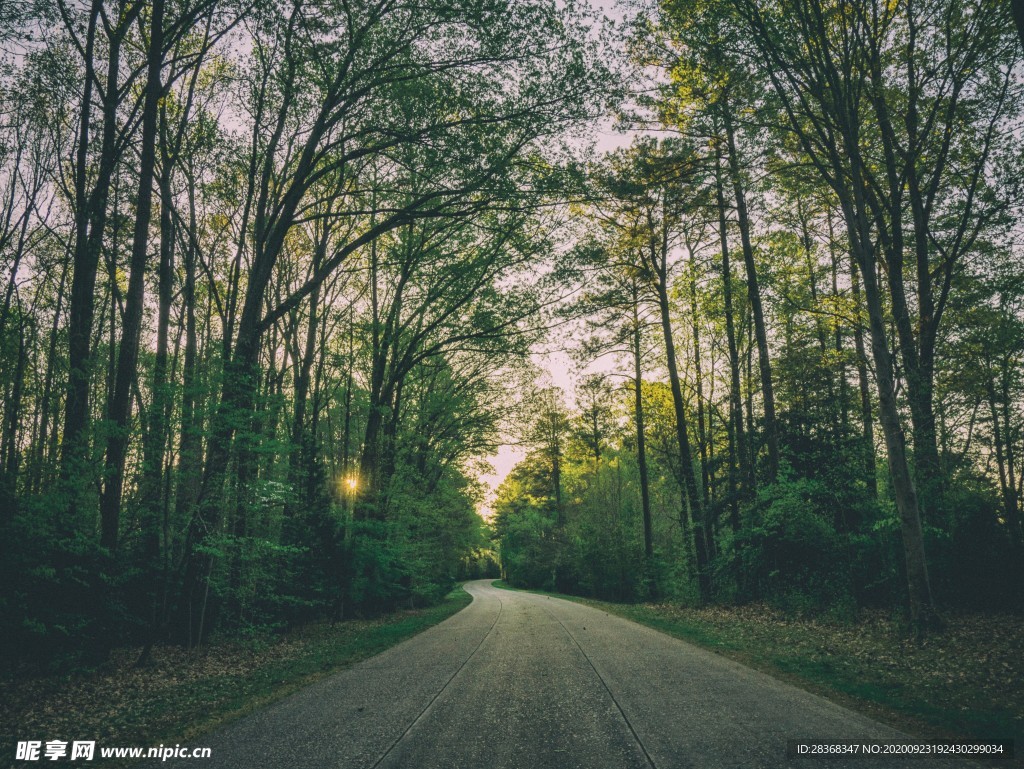 道路风景