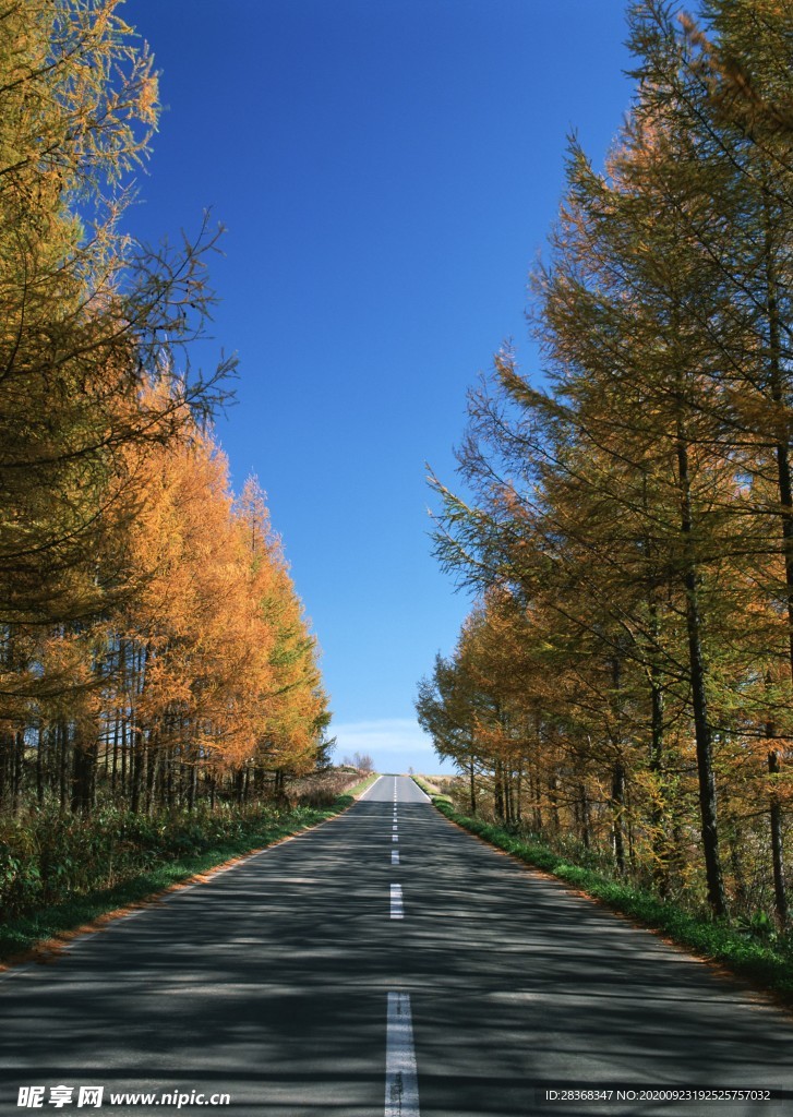 道路风景