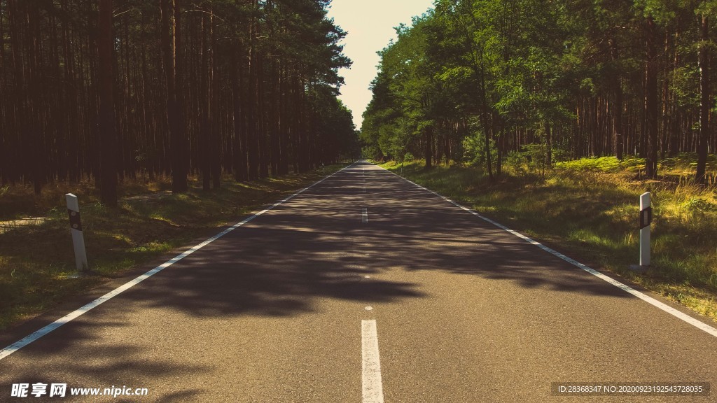 道路风景