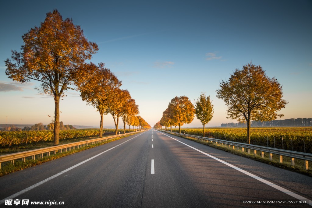 道路风景