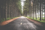 道路风景