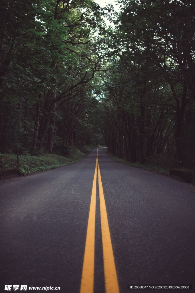 道路风景