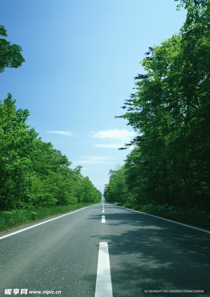 道路风景