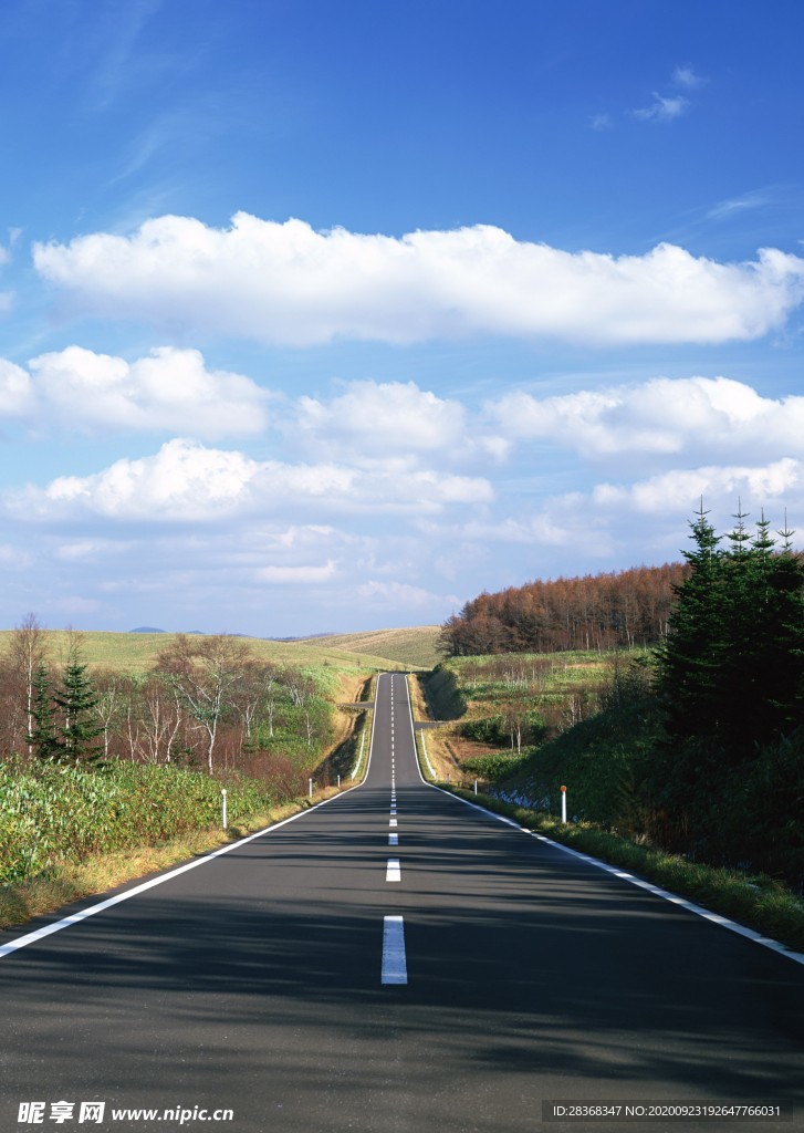 道路风景