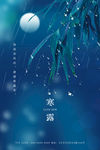 24节气寒露海报
