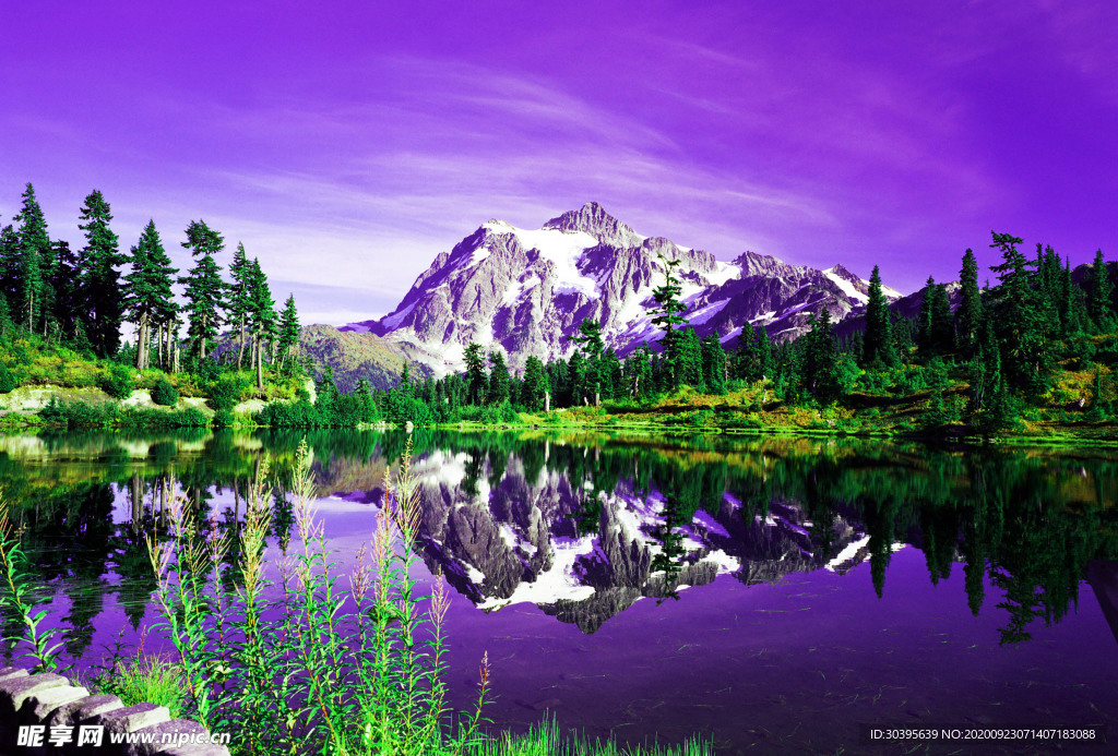 风景