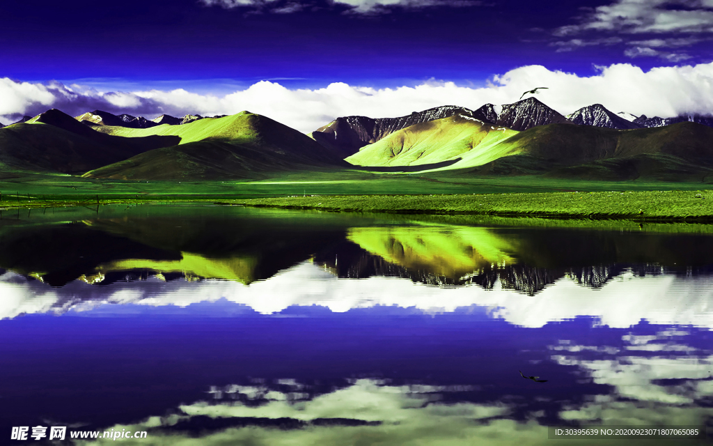 风景