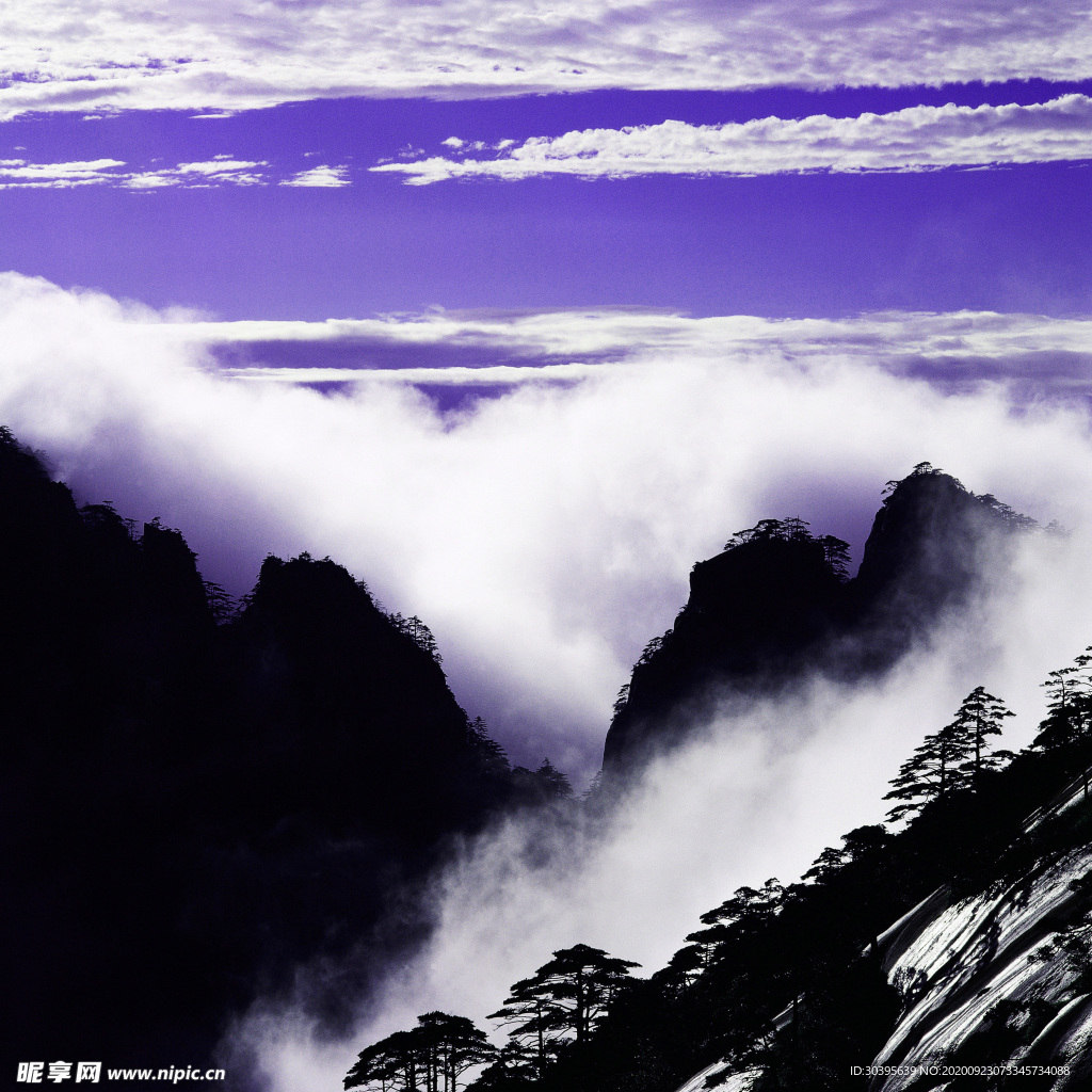 风景