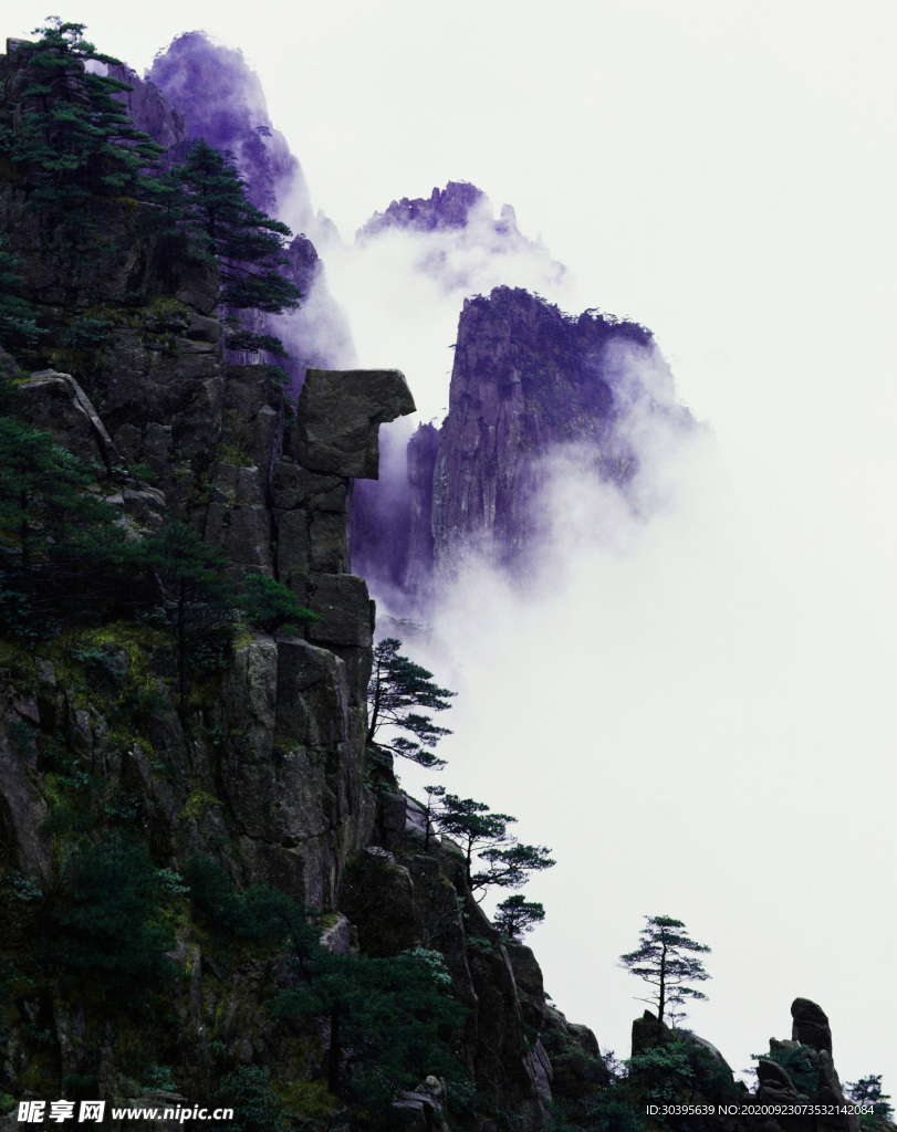 风景