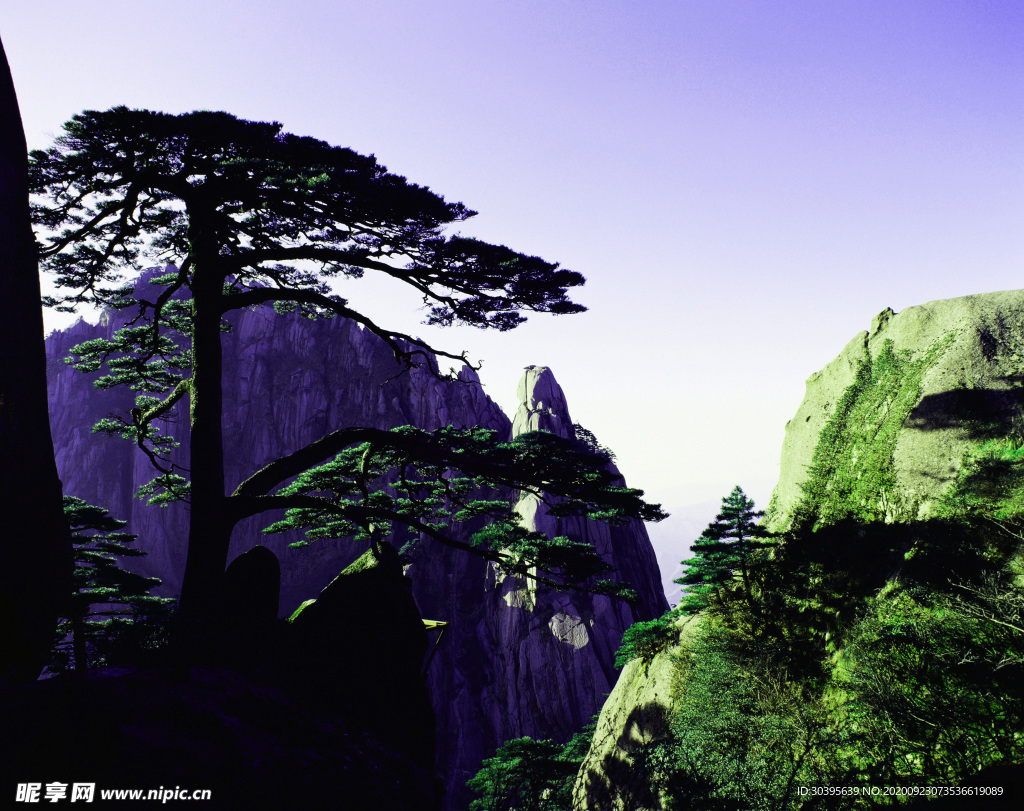 风景