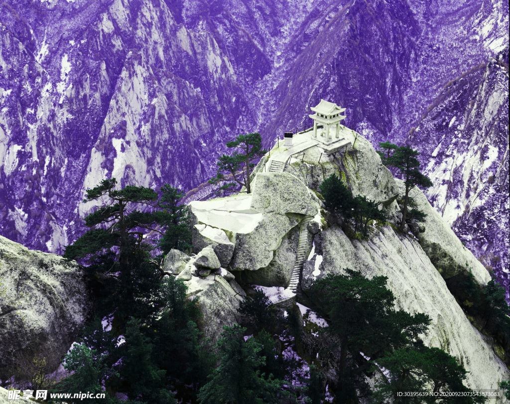风景