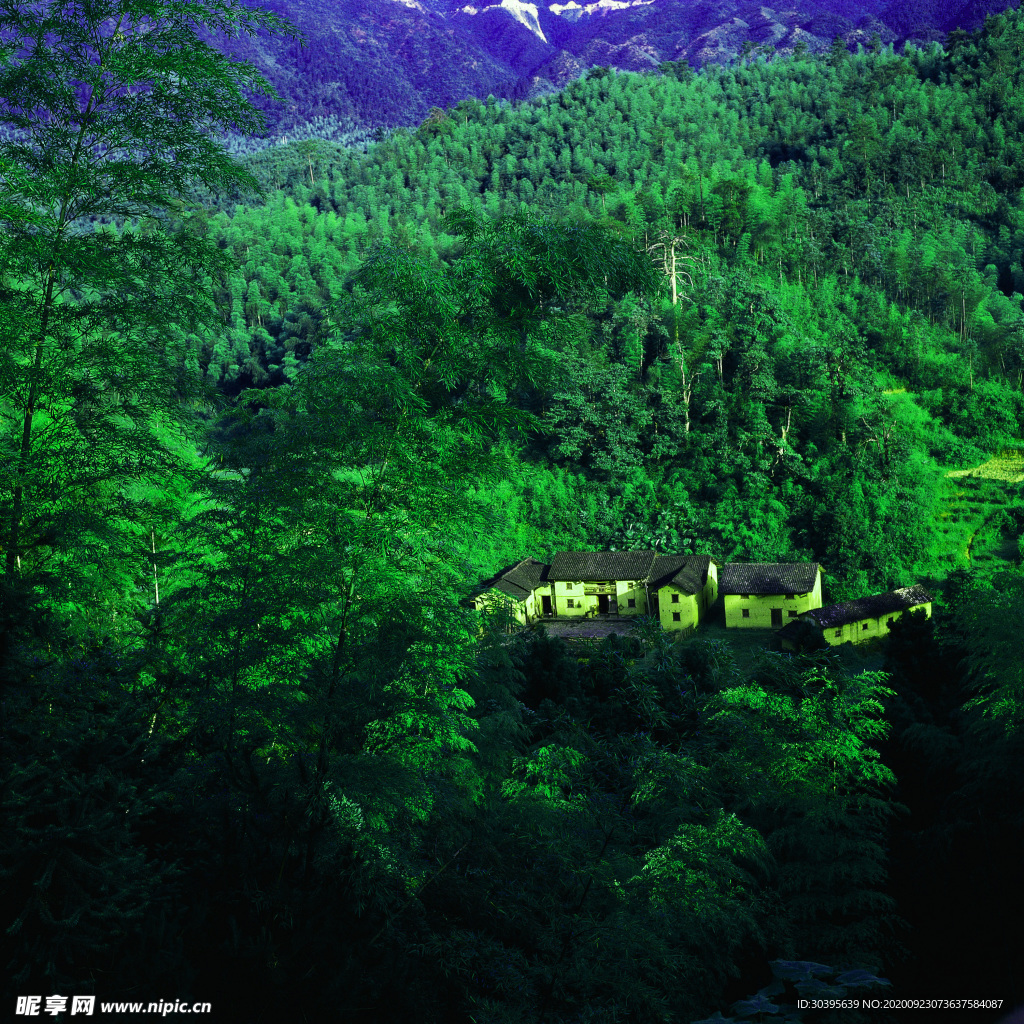 风景
