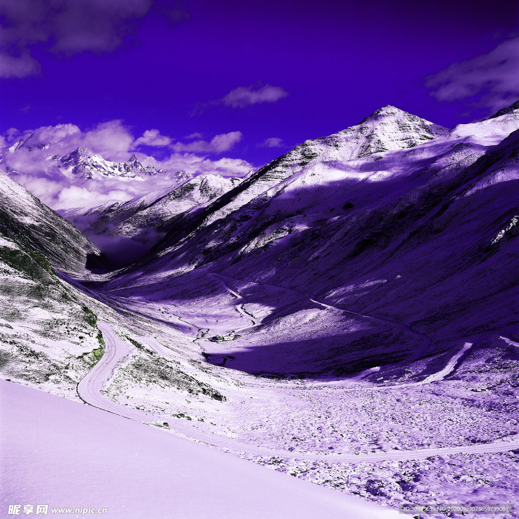 风景