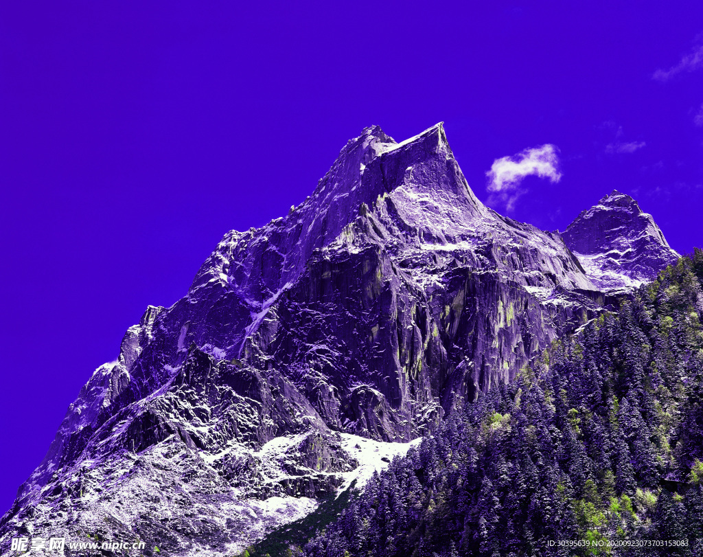 风景