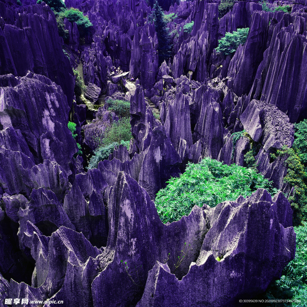 风景