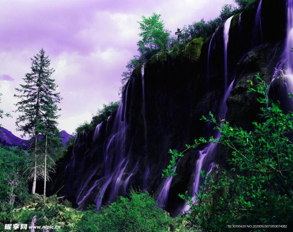 风景